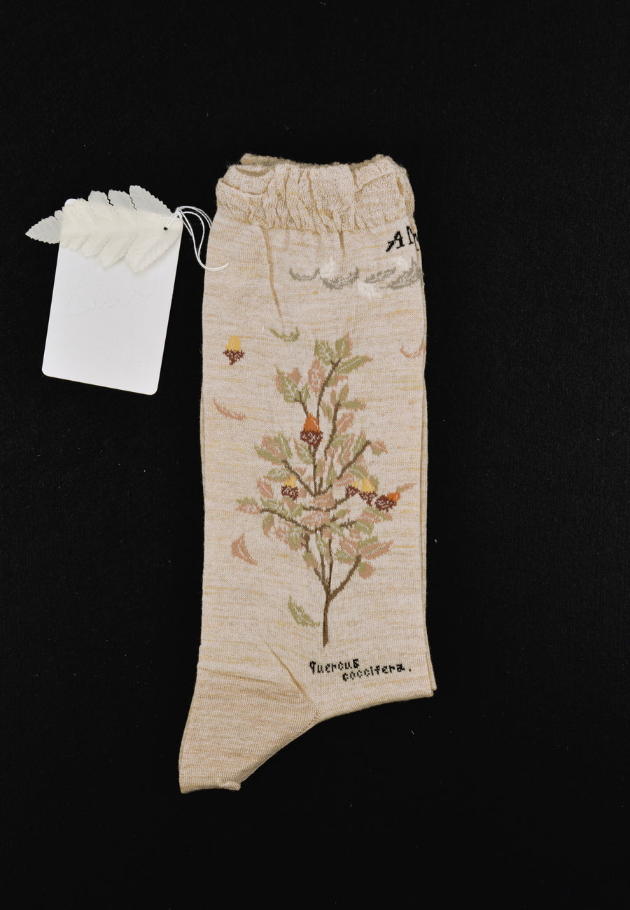 Antipast<p>wind and acorn tree<p>wool crew sock<p>beige