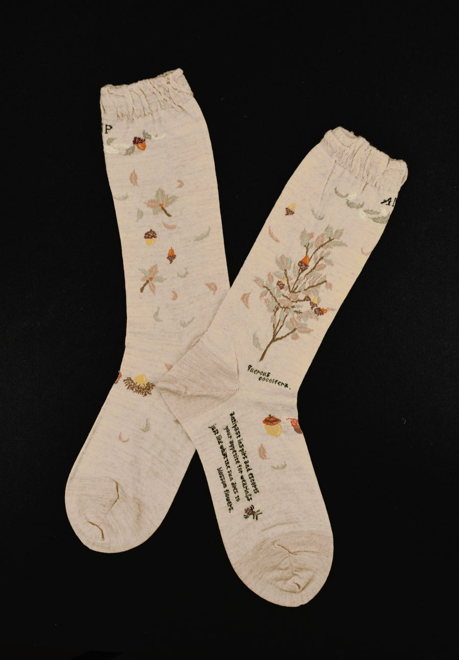 Antipast<p>wind and acorn tree<p>wool crew sock<p>beige