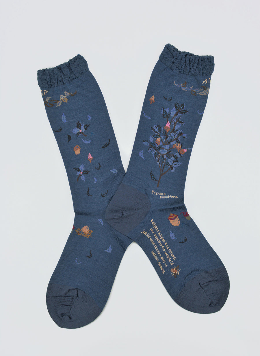 Antipast<p>wind and acorn tree<p>wool crew sock<p>navy