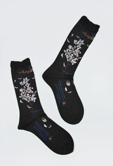 Antipast<p>wind and acorn tree<p>wool crew sock<p>black