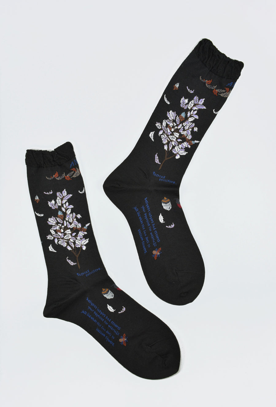 Antipast<p>wind and acorn tree<p>wool crew sock<p>black