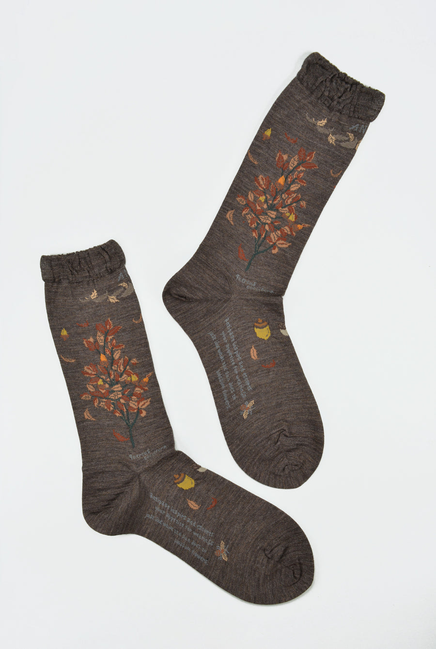 Antipast<p>wind and acorn tree<p>wool crew sock<p>dark brown