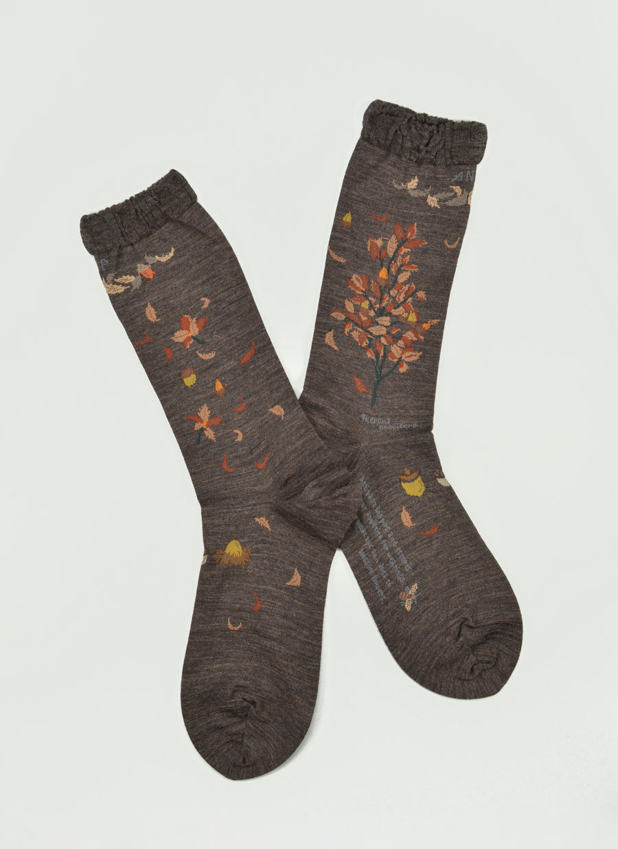 Antipast<p>wind and acorn tree<p>wool crew sock<p>dark brown