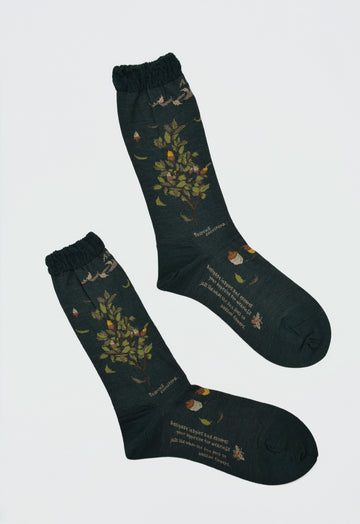 Antipast<p>wind and acorn tree<p>wool crew sock<p>dark green