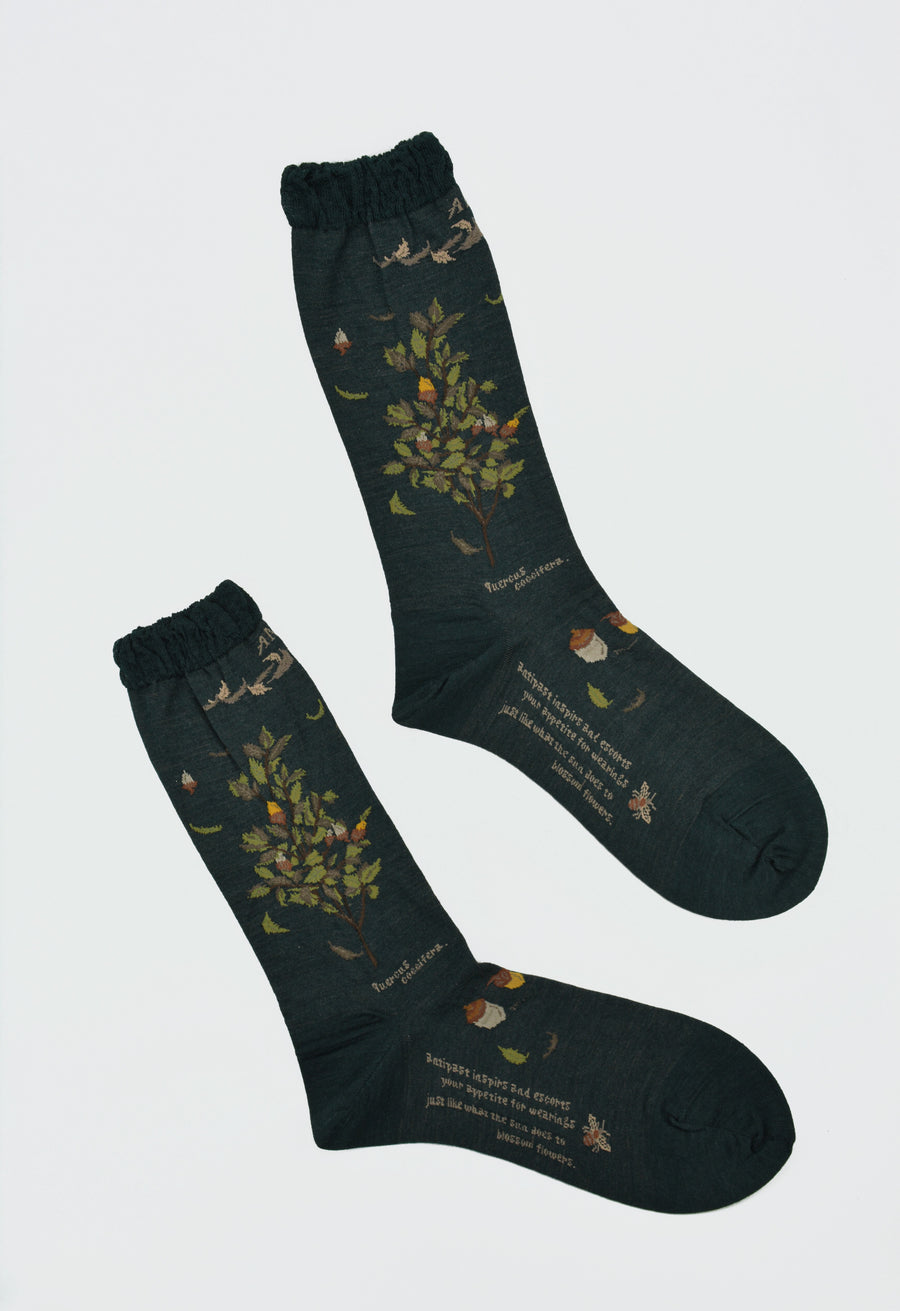 Antipast<p>wind and acorn tree<p>wool crew sock<p>dark green